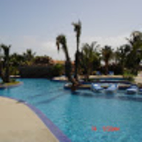 Meet your Posher, Otto - Picture 1 of 1